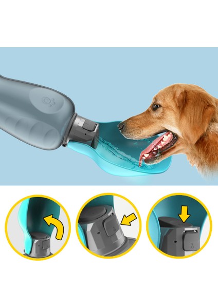 Yeşil 800ML Büyük Köpek Su Şişesi Taşınabilir Katlanabilir Pet Suluk Küçük Köpekler Için Kedi Açık Fransız Bulldog Seyahat Yürüyüş Aksesuarları (Yurt Dışından) indirimleri