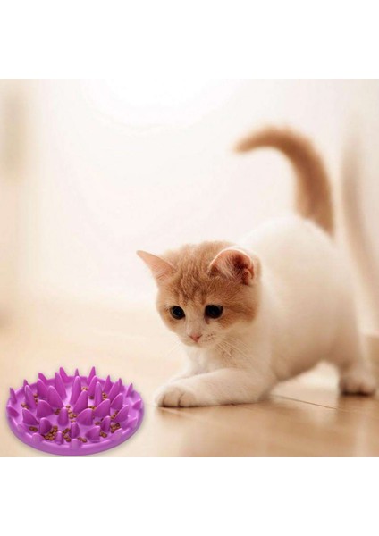 Mavi Evcil Köpek Kediler Besleyici Kaseler Yakalamak Interaktif Sert Silikon Kedi Yavrusu Yavaş Gıda Besleme Kaymaz Anti Yutkunma Besleyici Kase Malzemeleri (Yurt Dışından) modelleri