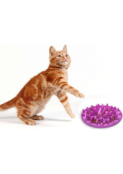 Mavi Evcil Köpek Kediler Besleyici Kaseler Yakalamak Interaktif Sert Silikon Kedi Yavrusu Yavaş Gıda Besleme Kaymaz Anti Yutkunma Besleyici Kase Malzemeleri (Yurt Dışından) fırsatları