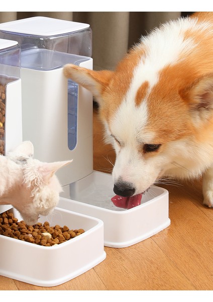 Yeşil Besleyici Evcil Hayvan Mama Kabı Otomatik Besleyici Su Sebili Köpek Kedi Kase Besleme Su Sebili Köpek Maması Kabı Içme Suyu Kasesi Evcil Hayvan Besleyici (Yurt Dışından) modelleri