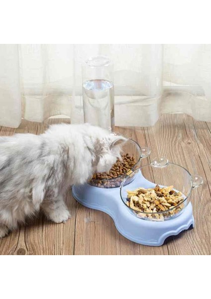 Bule 1 2022 Gıda Pet Otomatik Besleyici Kedi Dağıtıcı Köpek Konteyner Içme Suyu Yükseltilmiş Plaka Kaymaz Çift Kase Renkli (Yurt Dışından) indirimleri