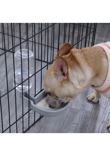 Sarı Kase 70G Gıda Hoopet Otomatik Evcil Hayvan Kaseleri Kedi Kafesi Asılı Su Şişesi Dağıtıcı Kase Yavru Kediler Tavşan Köpek Besleme Ürünü Evcil Hayvan Malzemeleri (Yurt Dışından) fırsatları