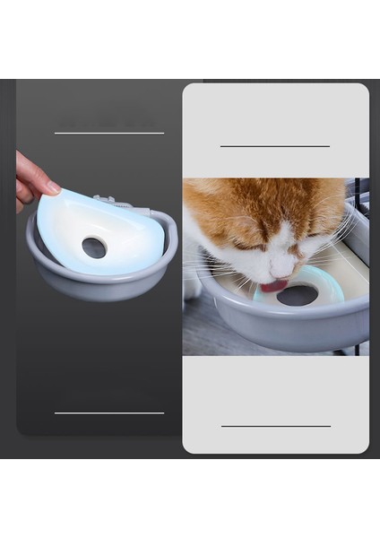 Sarı Kase 70G Gıda Hoopet Otomatik Evcil Hayvan Kaseleri Kedi Kafesi Asılı Su Şişesi Dağıtıcı Kase Yavru Kediler Tavşan Köpek Besleme Ürünü Evcil Hayvan Malzemeleri (Yurt Dışından) indirimleri