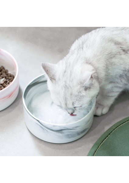 Çift Pembe Altın L - 850ML Mermer Seramik Köpek Kasesi Kedi Maması ve Ahşap Standlı Su Kaseleri Büyük Düz Yüzlü Kediler Yavru Köpekler Için Ağır Evcil Hayvan Besleyici (Yurt Dışından) modelleri