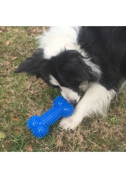 Sarı L-16CM Pet Köpek Oyuncakları Cızırtılı Kauçuk Oyuncaklar Çiğnemek Komik Diken Kemikleri Şekil Tpr Molar Köpekler Için Çiğneme Oyuncakları Interaktif Eğitim Temizleme Dişleri (Yurt Dışından) modelleri