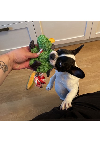 Stil 9 Resim Olarak Pet Köpek Malzemeleri Sevimli Hayvan Şekli Squeak Oyuncaklar Küçük Orta Köpekler Için Dayanıklı Komik Interaktif Oyuncak Fransız Bulldog Chihuahua Hediye (Yurt Dışından)
