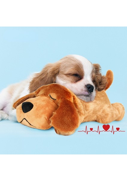 Kalp Atışı Pet Kalp Atışı Köpek Davranış Eğitimi Köpek Peluş Evcil Hayvan Rahat Snuggle Anksiyete Rölyef Uyku Yardımı Bebek Dayanıklı Bırak Gemi DC05 (Yurt Dışından)