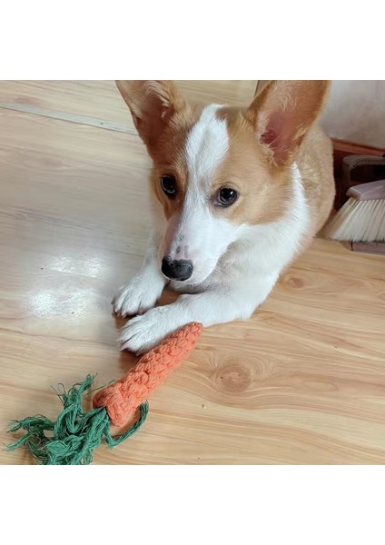 Kemik 1 Adet Rastgele Renk 1 Adet Pet Köpek Düğüm Topu Oyuncak Küçük Köpekler Için Isırmaya Dayanıklı Yavru Kedi Çiğneme Oyuncakları Temizleme Diş Mascotas Aksesuarla Juguetes Perros (Yurt Dışından) modelleri