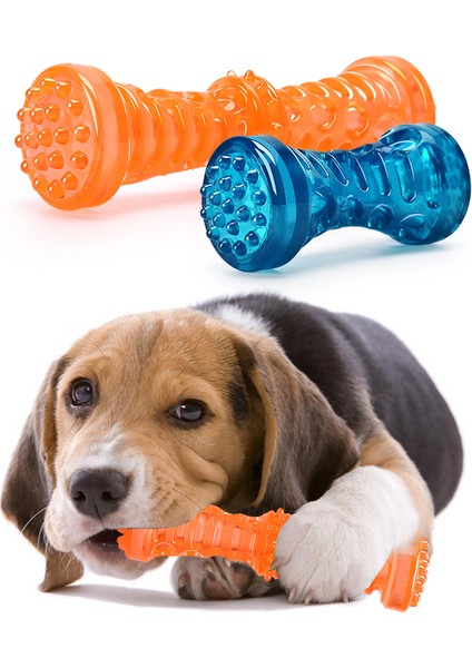 Set 7 Köpek Diş Fırçası Kemik Sağlam Köpek Oyuncak Interaktif Köpek Oyunu Oyuncak Köpek Kemik Kauçuk Dayanıklı Isırmaya Dayanıklı Pet Oyuncak Köpek Çiğneme Oyuncağı (Yurt Dışından)
