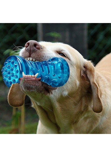 Set 7 Köpek Diş Fırçası Kemik Sağlam Köpek Oyuncak Interaktif Köpek Oyunu Oyuncak Köpek Kemik Kauçuk Dayanıklı Isırmaya Dayanıklı Pet Oyuncak Köpek Çiğneme Oyuncağı (Yurt Dışından) fırsatları