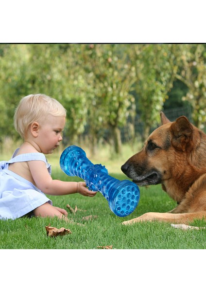 Set 7 Köpek Diş Fırçası Kemik Sağlam Köpek Oyuncak Interaktif Köpek Oyunu Oyuncak Köpek Kemik Kauçuk Dayanıklı Isırmaya Dayanıklı Pet Oyuncak Köpek Çiğneme Oyuncağı (Yurt Dışından) indirimleri