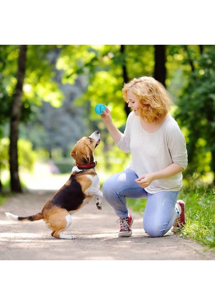 Yeşil 5cm Köpekler Için Oyuncaklar Topu Interaktif Oyuncaklar Köpek Çiğneme Oyuncakları Diş Temizleme Esnekliği Küçük Büyük Köpek Oyuncakları Kauçuk Evcil Hayvan Topu Oyuncakları (Yurt Dışından) indirimleri
