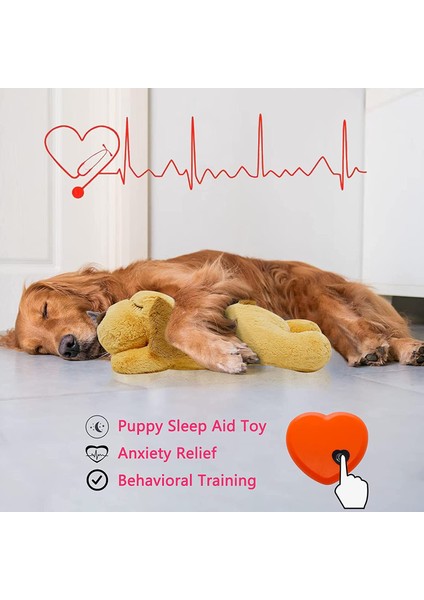 Sıcak Çanta ile Ayı Kalp Atışı Köpek Anksiyete Giderici Peluş Oyuncak Evcil Hayvan Rahat Davranış Eğitimi Oyun Yardımı Aracı Küçük Köpek Için Yumuşak Peluş Uyku Arkadaşı (Yurt Dışından)