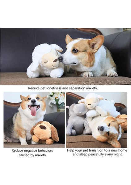 Sıcak Çanta ile Ayı Kalp Atışı Köpek Anksiyete Giderici Peluş Oyuncak Evcil Hayvan Rahat Davranış Eğitimi Oyun Yardımı Aracı Küçük Köpek Için Yumuşak Peluş Uyku Arkadaşı (Yurt Dışından)