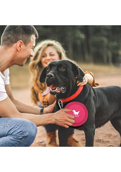 Pink-1 Adet 350ML 1000ML/350ML Büyük Katlanabilir Köpek Pet Katlanır Silikon Kase Açık Seyahat Taşınabilir Köpek Maması Kabı Besleyici Bulaşık Kase 2 Adet (Yurt Dışından) fırsatları