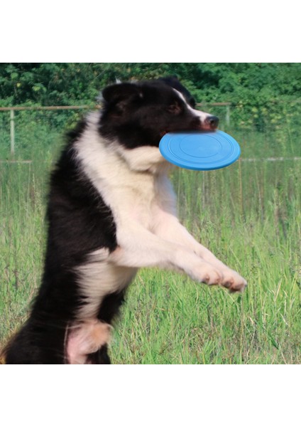 Yeşil Çap 17 cm Interaktif Yavru Büyük Köpek Oyuncak Küçük Büyük Köpekler Için Uçan Diskler Güvenlik Tpr Pet Eğitim Malzemeleri Mascotas Greyhound Beagle Oyuncaklar (Yurt Dışından) indirimleri