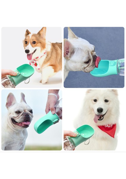 Yeşil B 350 ml Köpek Su Şişesi Taşınabilir Seyahat Pet Tiryakisi Sızdırmaz Köpek Kase Gıda Kedi Çeşmesi Açık Yürüyüş Içme Suyu Şişesi Köpekler Besleyici (Yurt Dışından) fırsatları