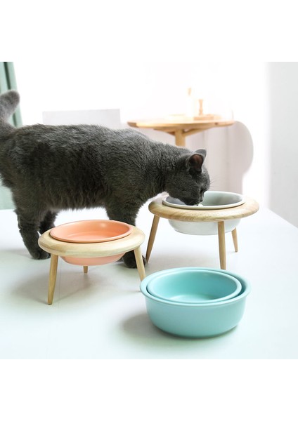 Standlı Turuncu 800ML Yükseltilmiş Kedi Seramik Kaseler Yüksekliği Ayarlanabilir Küçük Köpek Maması Su Kasesi Pet Yüksek Ayak Besleme Tabağı Kediler Köpekler Seramik Besleyici (Yurt Dışından)