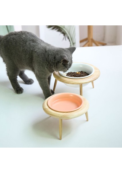 Standlı Turuncu 800ML Yükseltilmiş Kedi Seramik Kaseler Yüksekliği Ayarlanabilir Küçük Köpek Maması Su Kasesi Pet Yüksek Ayak Besleme Tabağı Kediler Köpekler Seramik Besleyici (Yurt Dışından) fırsatları