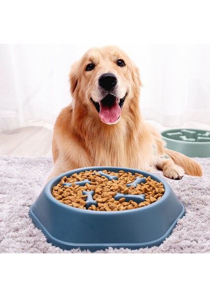 07 Pet Köpek Kase Köpek Yavaş Besleyici Kase Yavru Kedi Yavaş Yemek Kase Anti-Gulping Yemek Tabağı Besleme Köpek Kedi Mama Kasesi Evcil Hayvan Malzemeleri (Yurt Dışından) fırsatları