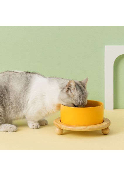 Gri ve Stand 400ML 400/850ML Kedi Büyük Kapasiteli Kase Küçük Köpekler Ahşap Standlı Mama Su Kaseleri Pet Yükseltilmiş Besleme Besleyici Köpek Yavrusu Malzemeleri (Yurt Dışından) fırsatları