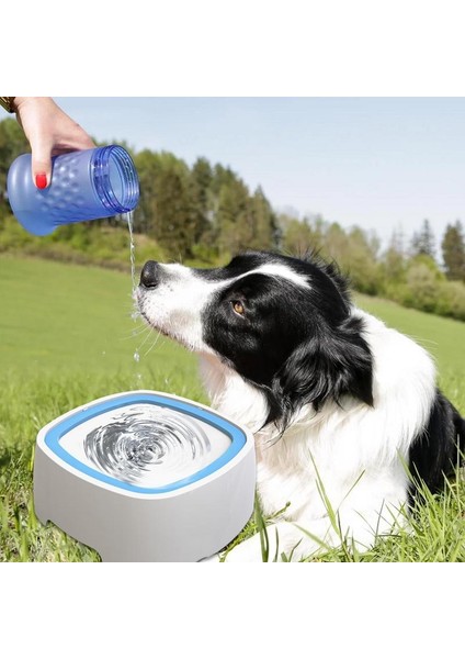 Yeşil Pet Köpek Kedi Kase Yüzen Kase Su Tiryakisi Islak Değil Ağız Sıçrama Su Kedi Kase Yağmurlama Değil Su Sebili Taşınabilir Köpek Kase (Yurt Dışından) fırsatları