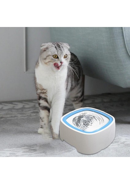 Yeşil Pet Köpek Kedi Kase Yüzen Kase Su Tiryakisi Islak Değil Ağız Sıçrama Su Kedi Kase Yağmurlama Değil Su Sebili Taşınabilir Köpek Kase (Yurt Dışından) indirimleri