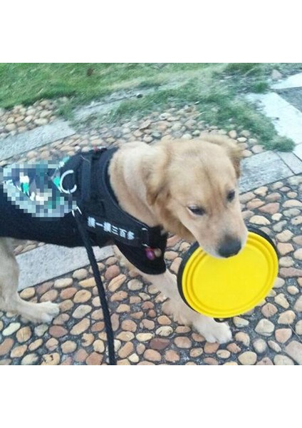 Mavi 1000ML 1000ML Köpek Kasesi Büyük Katlanabilir Kedi Katlanır Silikon Kase Açık Seyahat Taşınabilir Köpek Maması Kabı Besleyici Bulaşık Su Kasesi (Yurt Dışından) fiyatları