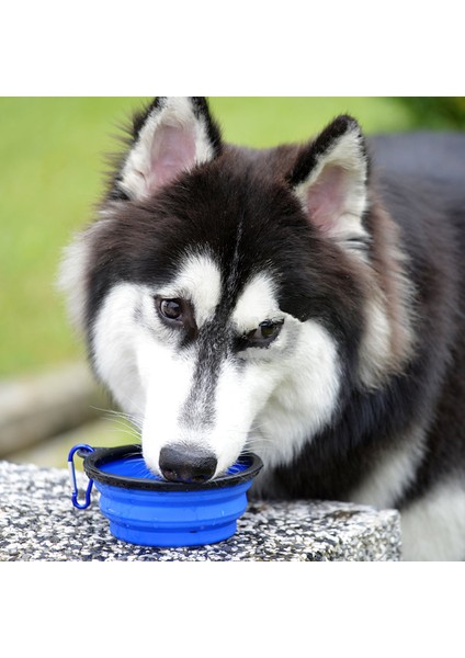 Mavi 1000ML 1000ML Köpek Kasesi Büyük Katlanabilir Kedi Katlanır Silikon Kase Açık Seyahat Taşınabilir Köpek Maması Kabı Besleyici Bulaşık Su Kasesi (Yurt Dışından) indirimleri
