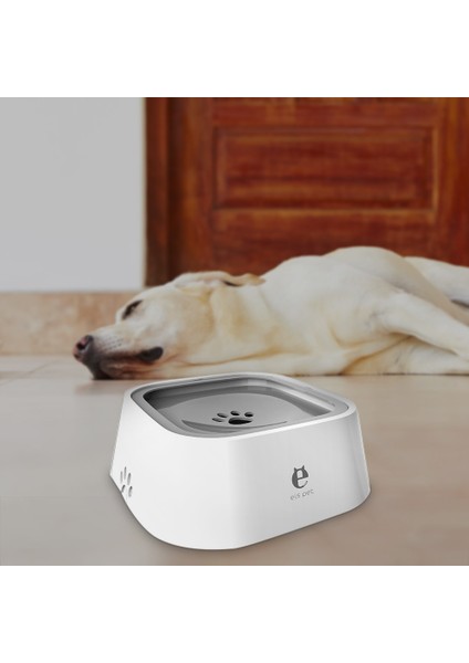 Gri Yeni Pet Köpek Kaseleri Yüzen Islatmayan Ağız Kedi Kase Hiçbir Dökülme Içme Suyu Besleyici Plastik Taşınabilir Köpek Kase Destek Araçları (Yurt Dışından) fiyatları