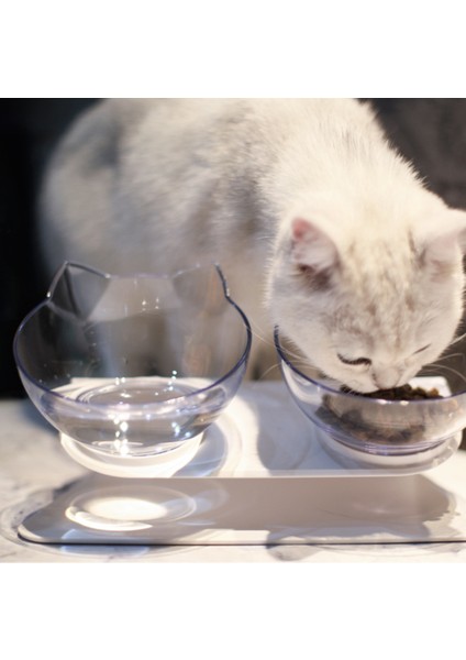 Beyaz Tek Kaymaz Çift Köpek Kase Kedi Kase Standlı Pet Besleme Kedi Su Kasesi Kediler Için Mama Köpekler Için Evcil Hayvan Kaseleri Besleyici Ürün Malzemeleri (Yurt Dışından) indirimleri