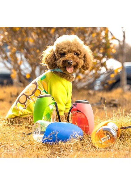 580 Ml-Siyah Taşınabilir Pet Köpek Su Şişesi Yumuşak Silikon Yaprak Tasarım Seyahat Köpek Kase Yavru Kedi Içme Açık Pet Su Şişesi (Yurt Dışından)