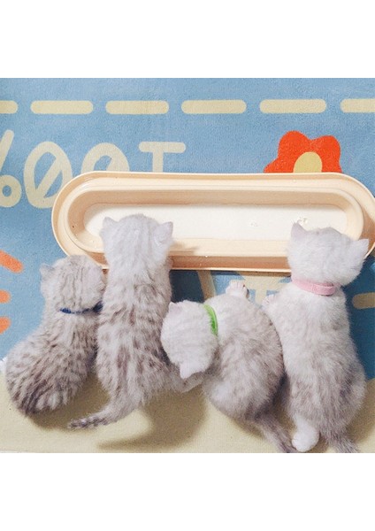 Sarı 40.5X12.5X4.5CM Yavru Köpekler Yavru Kediler Kaseler Yavrular Için Sütten Kesme Yemekleri Küçük Köpekler Kediler Besleme Tavaları Kaymaz Stand Mama ve Su Tabakları Tepsisi (Yurt Dışından) modelleri