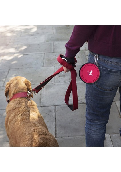Pembe Gri 350ML 1000ML/350ML Büyük Katlanabilir Köpek Pet Katlanır Silikon Kase Açık Seyahat Taşınabilir Köpek Maması Kabı Besleyici Bulaşık Kase 2 Adet (Yurt Dışından) modelleri