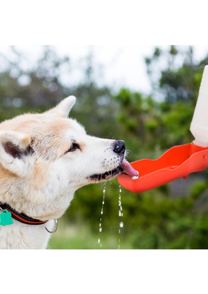 Mavi 500 ml Pet Köpek Su Şişesi Taşınabilir Köpek Kase Küçük Orta Köpek Suluk Seyahat Otomatik Gıda Besleme Suyu Şişeleri Ev Hayvanı Ürünü (Yurt Dışından) fırsatları