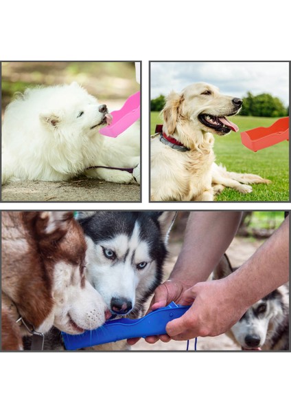 Mavi 500 ml Pet Köpek Su Şişesi Taşınabilir Köpek Kase Küçük Orta Köpek Suluk Seyahat Otomatik Gıda Besleme Suyu Şişeleri Ev Hayvanı Ürünü (Yurt Dışından) indirimleri