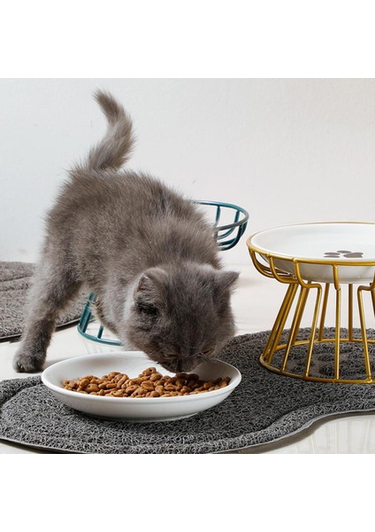 B Seramik Yükseltilmiş Hayvan Mama Kabı Gıda Su Ikramları Kediler ve Köpekler Için Malzemeleri Açık Besleme Içme Aksesuarları Köpek Kedi Standı Kase (Yurt Dışından) fırsatları