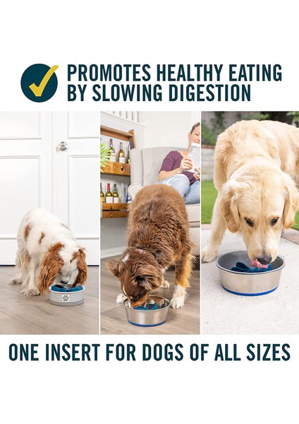 1 Adet Anti Choke Köpek Spiral Yavaş Besleme Gıda Köpek Yavaş Yavaş Yeme Besleyici Bulaşık Kase Obeziteyi Önlemek Evcil Hayvan Malzemeleri Dropshipping (Yurt Dışından) fırsatları