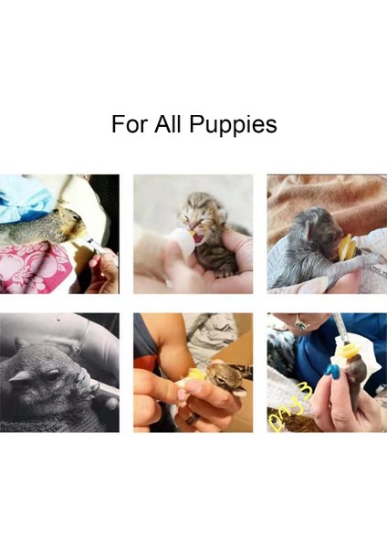 M Dualpet Pet Besleme Meme Yavru Köpek Kedi Hamster Besleme Emzik Ilaç Besleme Oral Şırınga Silikon Meme (Yurt Dışından) fırsatları