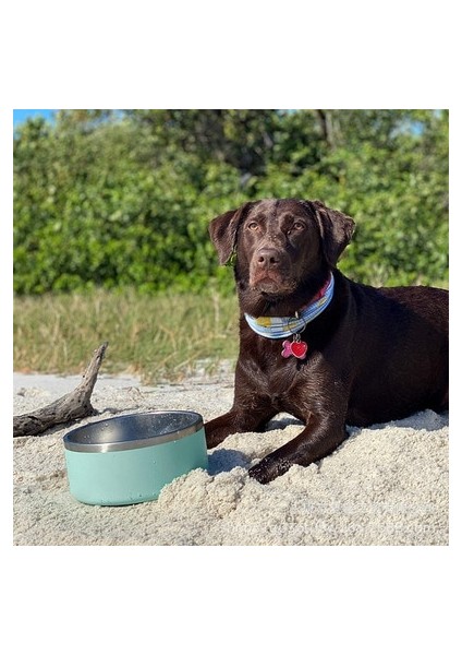 Stil 5 64OZ 32OZ 64OZ Köpek Kase Çift Duvar Kaymaz Paslanmaz Çelik Pet Köpek Maması Besleyici Su Kasesi Orta Büyük Evcil Hayvanlar Için (Yurt Dışından) fırsatları