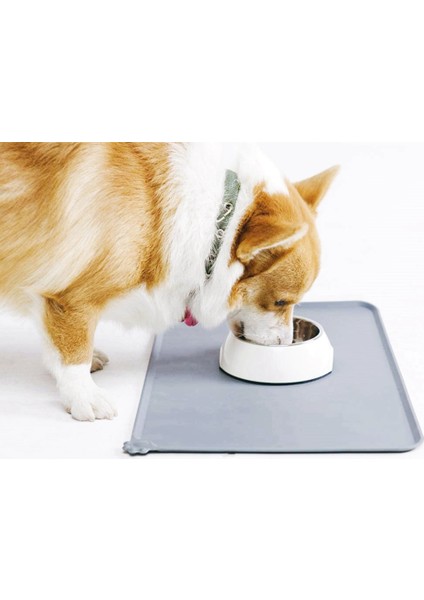 Pembe 48 cm x 30 cm Yüksek Dudaklı Silikon Pet Mama Mat Yapışmaz Su Geçirmez Evcil Hayvan Maması Besleme Pedi Köpek Besleyici Kase Placemat Tepsi 5 Renk (Yurt Dışından) modelleri
