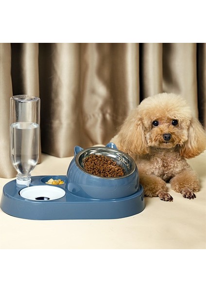 F Çift Kase Otomatik Su Sebili Köpek Kase Kedi Maması Havzası Paslanmaz Çelik Evcil Hayvan Malzemeleri Omurgayı Koruyun Cam Şişe Ağzı (Yurt Dışından)