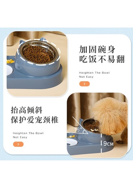 F Çift Kase Otomatik Su Sebili Köpek Kase Kedi Maması Havzası Paslanmaz Çelik Evcil Hayvan Malzemeleri Omurgayı Koruyun Cam Şişe Ağzı (Yurt Dışından) fırsatları