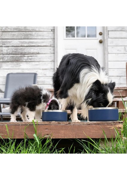 Stil 2 64OZ 32OZ 64OZ Köpek Kase Çift Duvar Kaymaz Paslanmaz Çelik Pet Köpek Maması Besleyici Su Kasesi Orta Büyük Evcil Hayvanlar Için (Yurt Dışından) modelleri