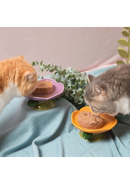 F Seramik Kedi Kase Çiçek Şekli Kedi Pirinç Kasesi Yüksek Ayak Boyun Koruma Yiyecek Kasesi Kaymaz Köpek Besleyici Köpek Su Kasesi Evcil Hayvan Malzemeleri (Yurt Dışından) indirimleri