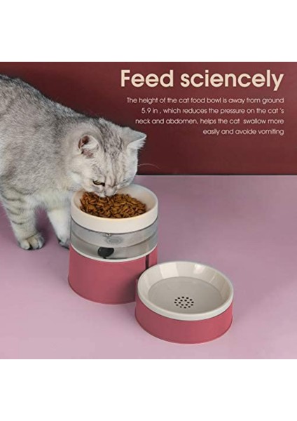 Gri 2 Çift Kedi Kaseleri 2'si 1 Arada Otomatik Evcil Hayvan Besleyici Çıkarılabilir Yerçekimi Su Sebili Yiyecek Kasesi Yükseltilmiş Yükseltilmiş Tasarım Anti Kusma (Yurt Dışından) fiyatları