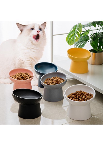 Mavi Kedi Iskandinav Tarzı Gıda Su Kasesi Pet Hayvan Seramik Yemek Yemekleri Yüksek Ayak Yükseltilmiş Yavru Kediler Mat Kaseler Yükseltilmiş Köpek Kaseleri (Yurt Dışından) indirimleri