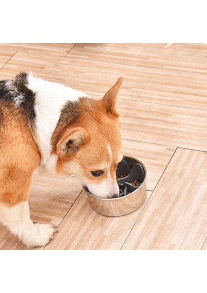 Gri Yavaş Besleyici Köpek Kasesi Ekleme Anti-Sling Yavaş Besleyici Kase Köpekler Için Yiyecek Ekleme Hayvan Kasesi Tutmak Için Köpek Ikramları Veya Yavaş Yiyecekler Için (Yurt Dışından) modelleri