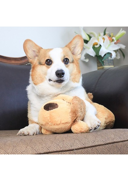Sevimli Bir Kalp Atışı Köpek Davranış Eğitimi Oyuncak Peluş Evcil Hayvan Rahat Snuggle Uyku (Yurt Dışından)