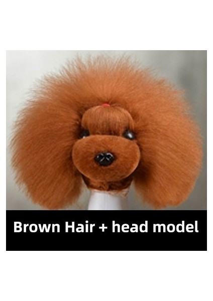Kahverengi Saç Headmodel Evcil Hayvan Simüle Edilmiş Kafa Saç Sahte Köpek Kafası Modeli Güzellik Uzmanı Uygulama Kesme Köpek Saç Köpek Vücut Peruk Evcil Hayvan Bakım Kırpma Uygulaması (Yurt Dışından) fiyatları